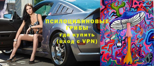 дурь Киреевск