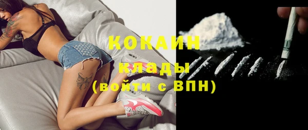шишки Касимов