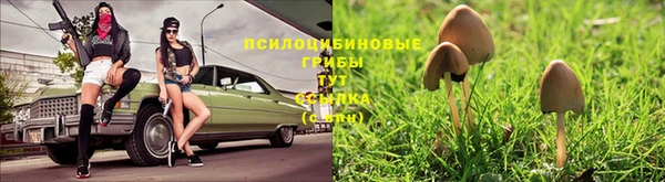 дурь Киреевск